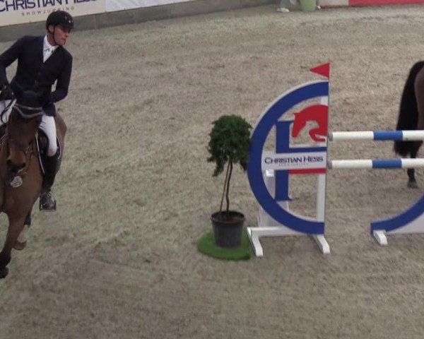 Nordic Jumping events 2019