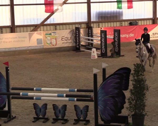Nordic Jumping events 2019