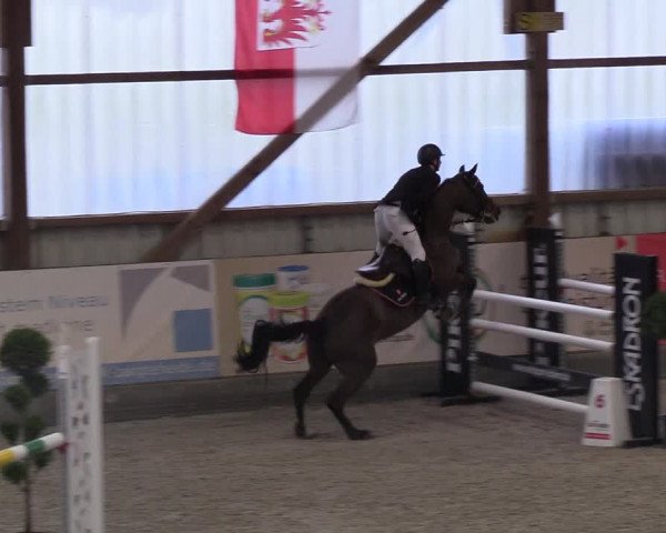 Nordic Jumping events 2019