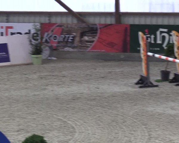 Nordic Jumping events 2019