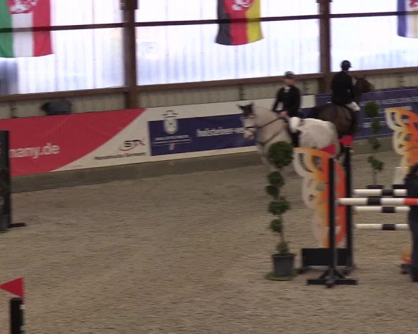 Nordic Jumping events 2019
