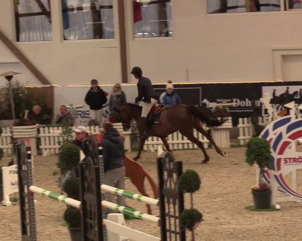 Nordic Jumping events 2019