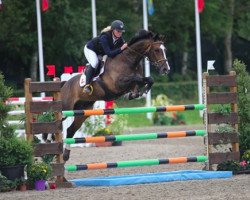 jumper Cupido Z (Zangersheide riding horse, 2009, from Cicero Z van Paemel)