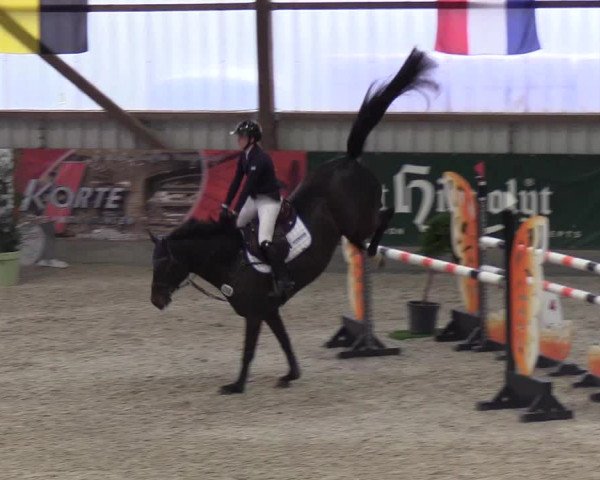 Nordic Jumping events 2019