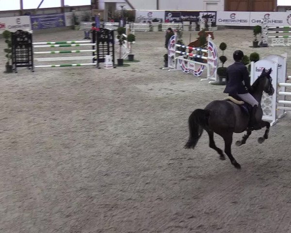 Nordic Jumping events 2019