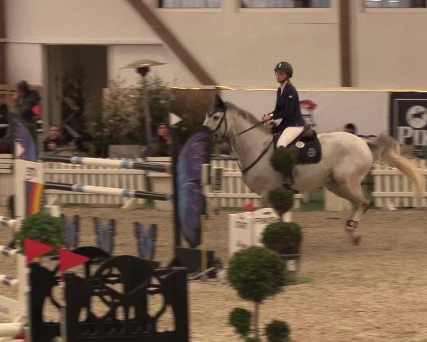 Nordic Jumping events 2019