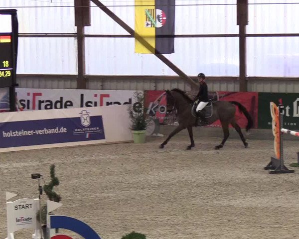Nordic Jumping events 2019