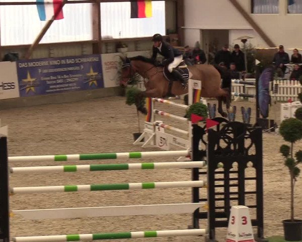 Nordic Jumping events 2019