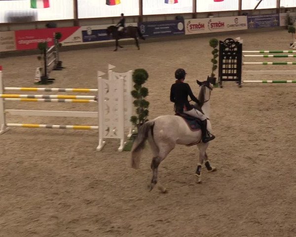 Nordic Jumping events 2019