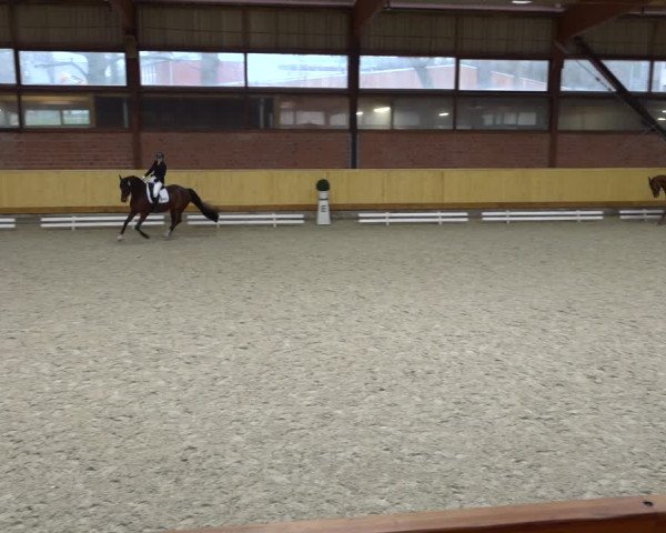Reitturnier Hamburg-Friedrichshulde/Sylva Kuhrt 2021