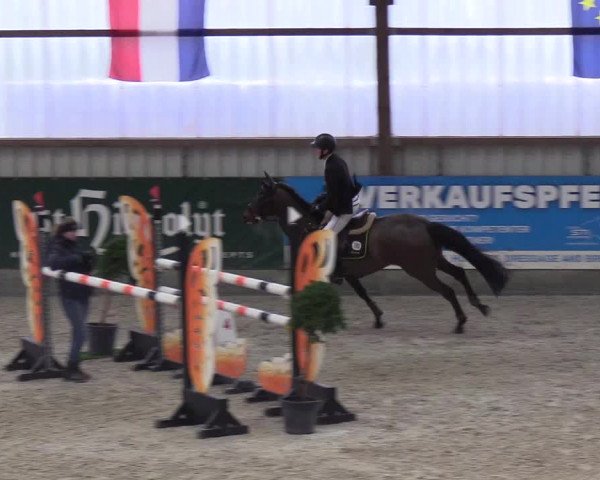Nordic Jumping events 2019