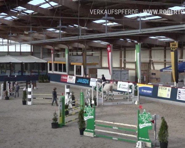 Reitturnier Oberriet 2019