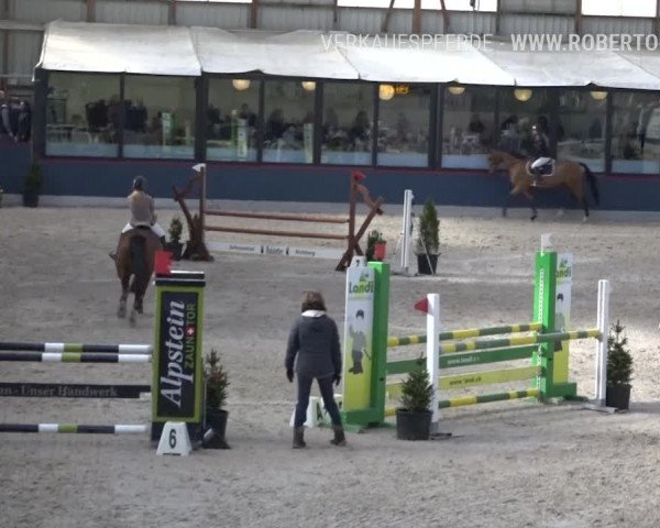 Reitturnier Oberriet 2019