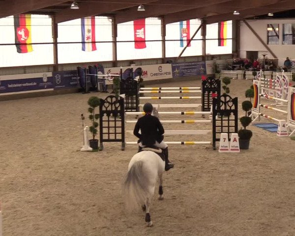 Nordic Jumping events 2019