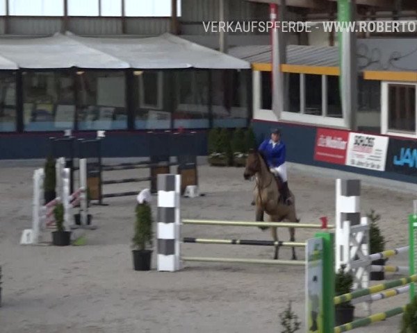 Reitturnier Oberriet 2019