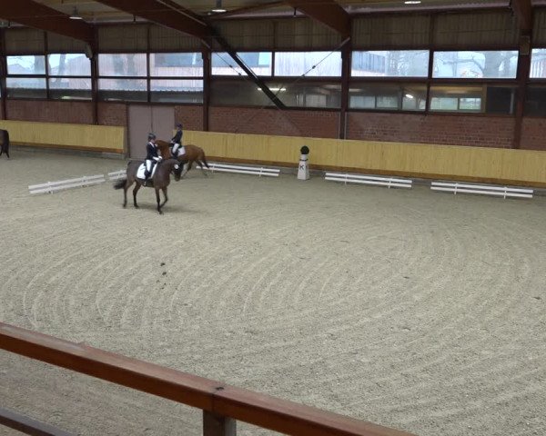 Reitturnier Hamburg-Friedrichshulde/Sylva Kuhrt 2021