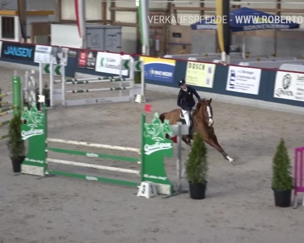 Reitturnier Oberriet 2019