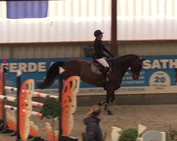 Nordic Jumping events 2019