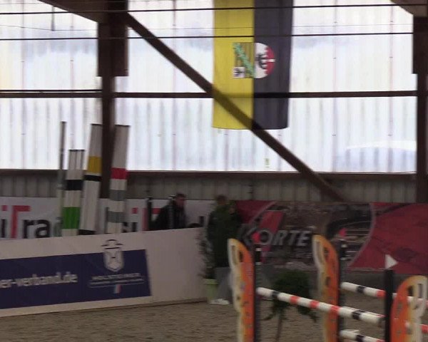 Nordic Jumping events 2019