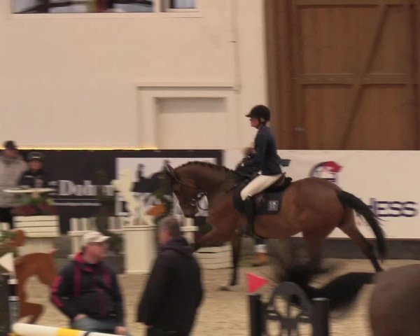 Nordic Jumping events 2019