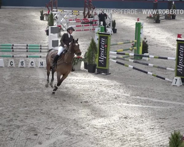 Reitturnier Oberriet 2019