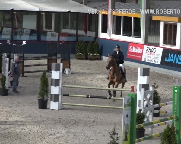 Reitturnier Oberriet 2019