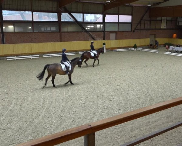 Reitturnier Hamburg-Friedrichshulde/Sylva Kuhrt 2021