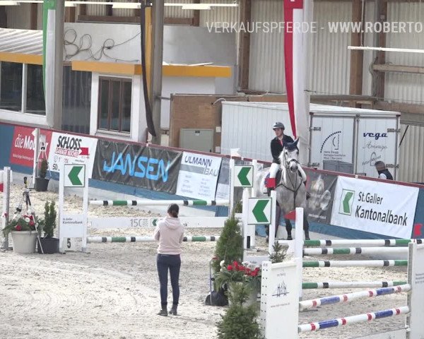 Reitturnier Oberriet 2019