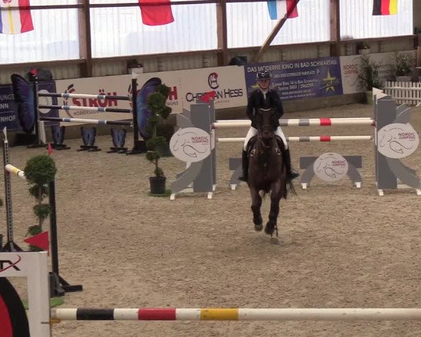 Nordic Jumping events 2019