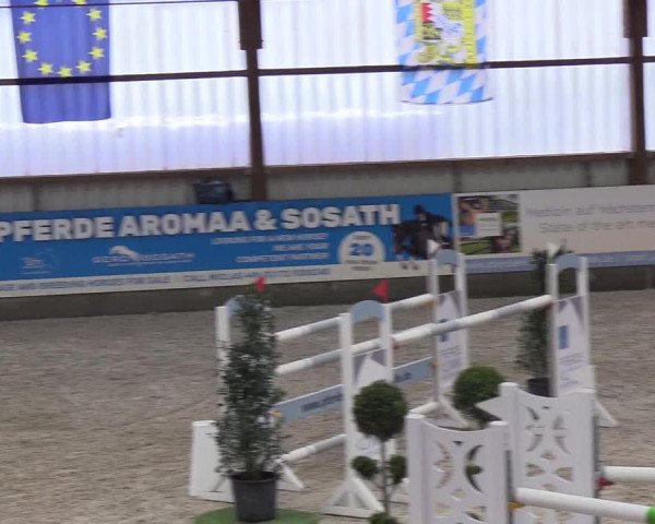 Nordic Jumping events 2019