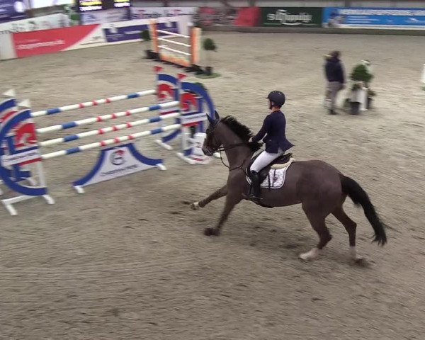 Nordic Jumping events 2019