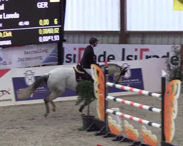 Nordic Jumping events 2019
