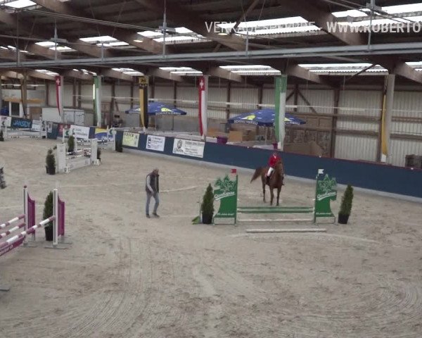 Reitturnier Oberriet 2019