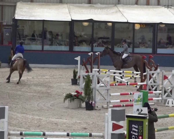 Reitturnier Oberriet 2019