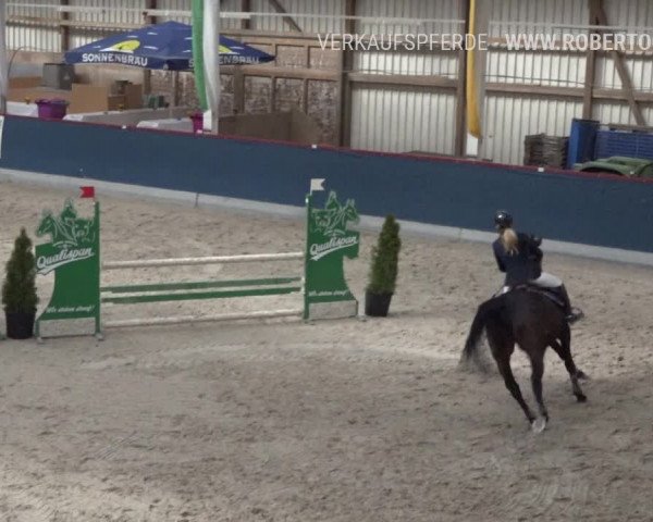 Reitturnier Oberriet 2019