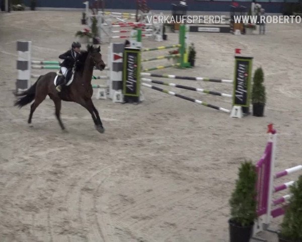 Reitturnier Oberriet 2019