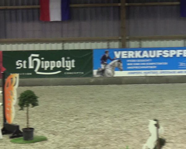 Nordic Jumping events 2019
