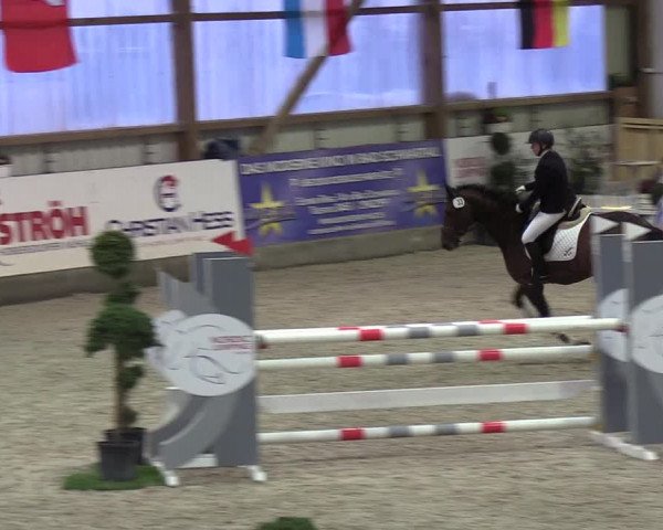 Nordic Jumping events 2019