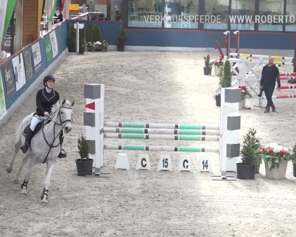 Reitturnier Oberriet 2019