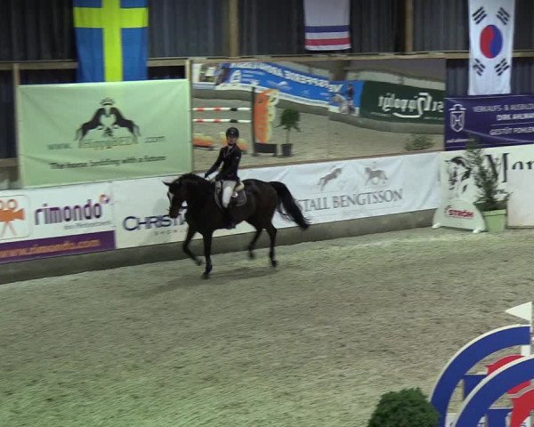 Nordic Jumping events 2019