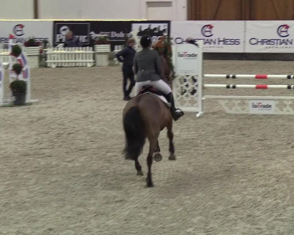Nordic Jumping events 2019