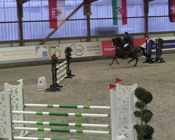 Nordic Jumping events 2019