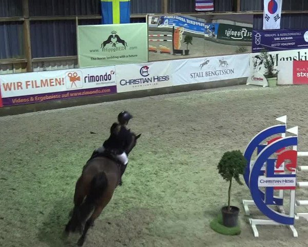 Nordic Jumping events 2019