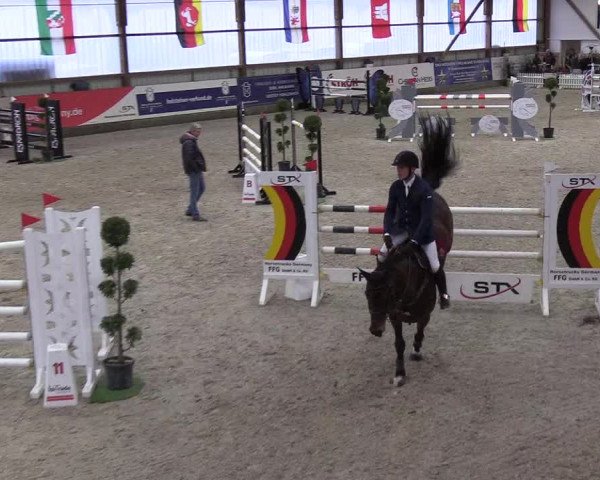 Nordic Jumping events 2019