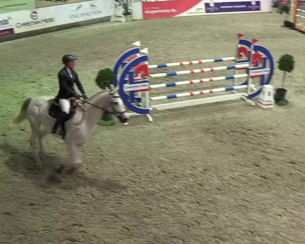 Nordic Jumping events 2019