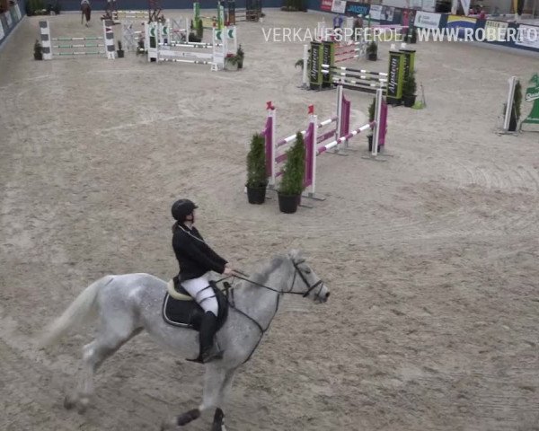 Reitturnier Oberriet 2019