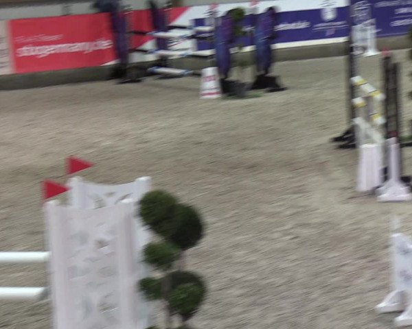 Nordic Jumping events 2019