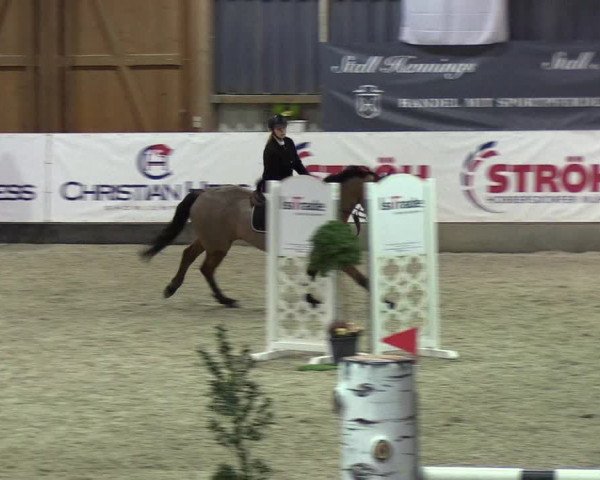 Nordic Jumping events 2019