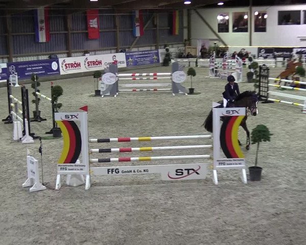 Nordic Jumping events 2019