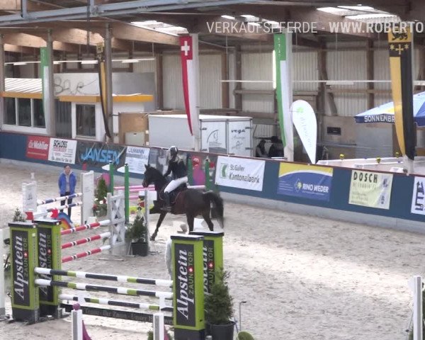 Reitturnier Oberriet 2019